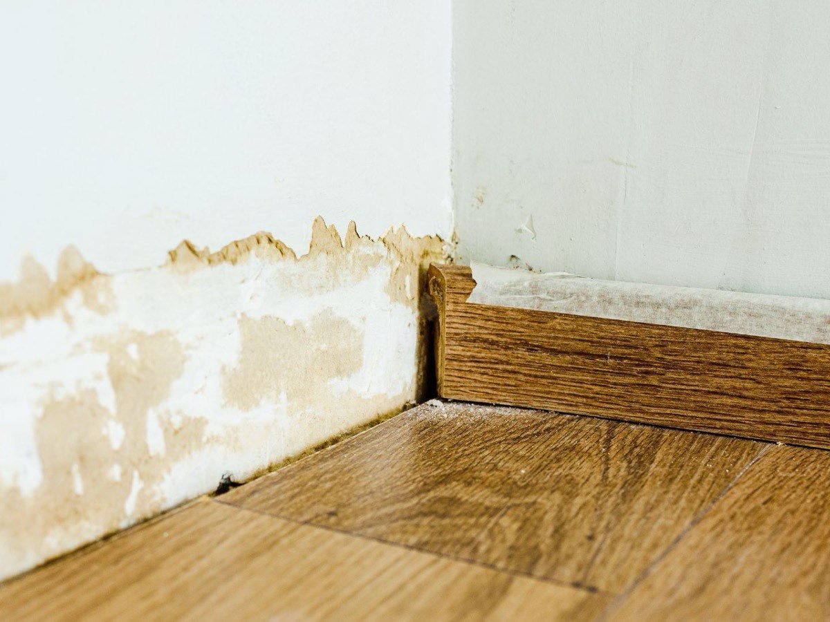 Water-damaged baseboard and wall photographed for an insurance claim