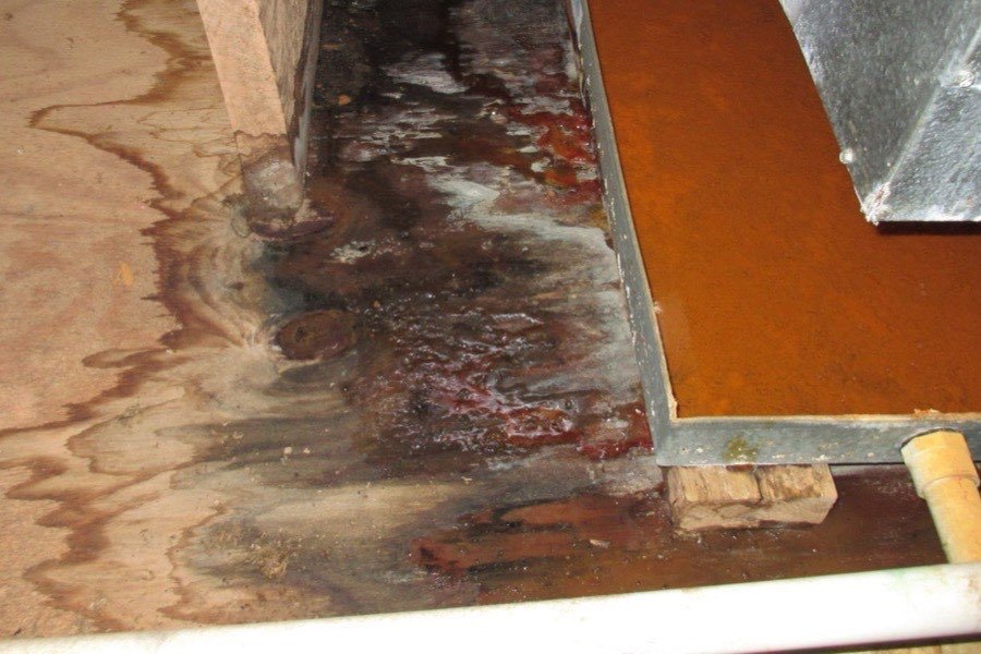 Contaminated water pooled in a crawlspace before sewage cleanup
