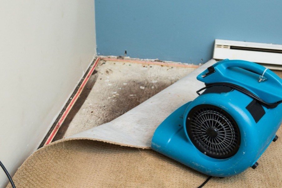 Carpet lifted so an air mover can dry the pad and subfloor underneath
